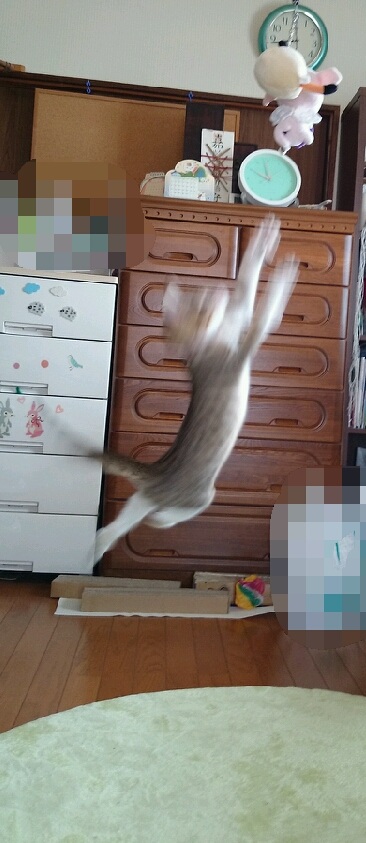 l(u[)_˂