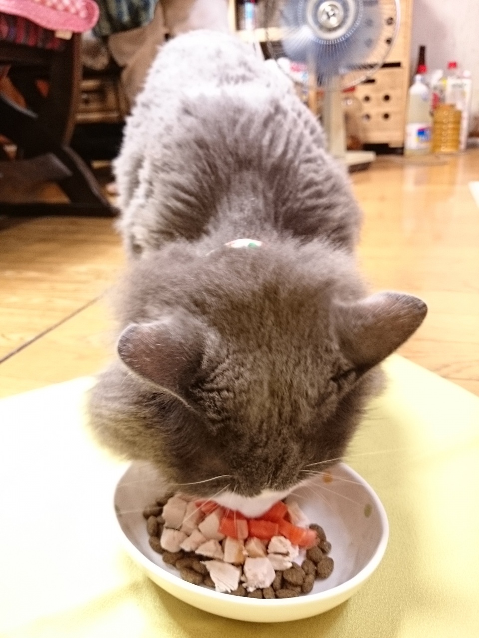 happybirthday ɂ[