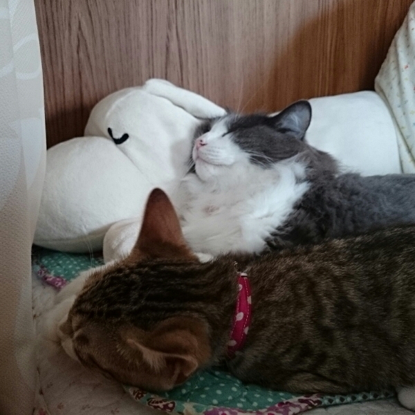 ؂؂떂
