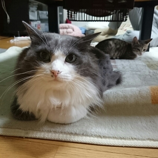 ̏dBBBBH(GP[P)