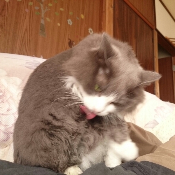 Vv[􂱂ڂbA