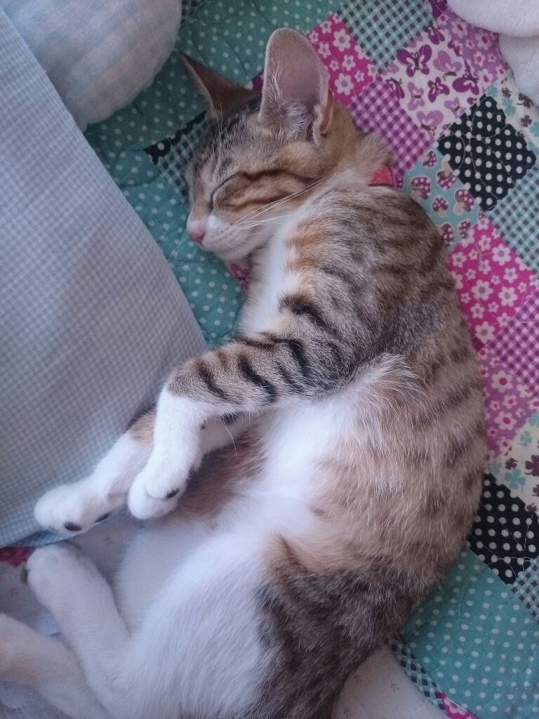 ߂ɂ႟`