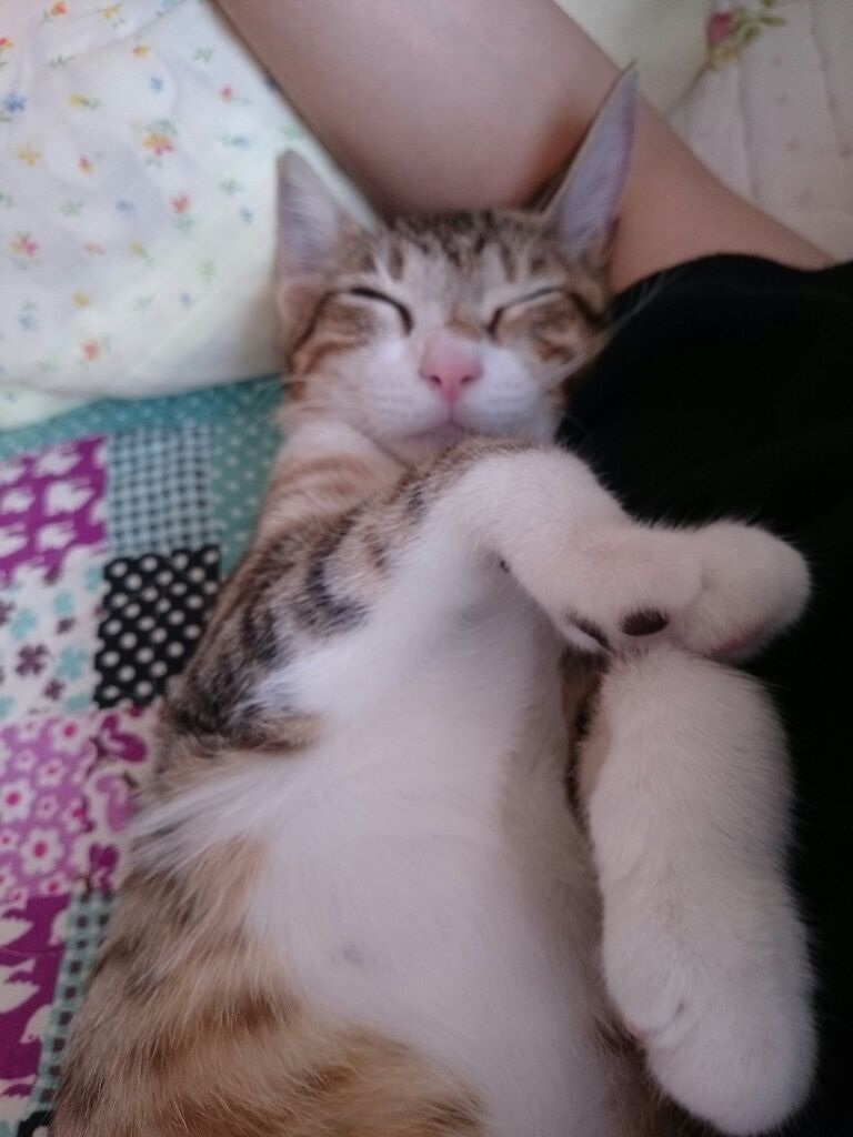 AC`