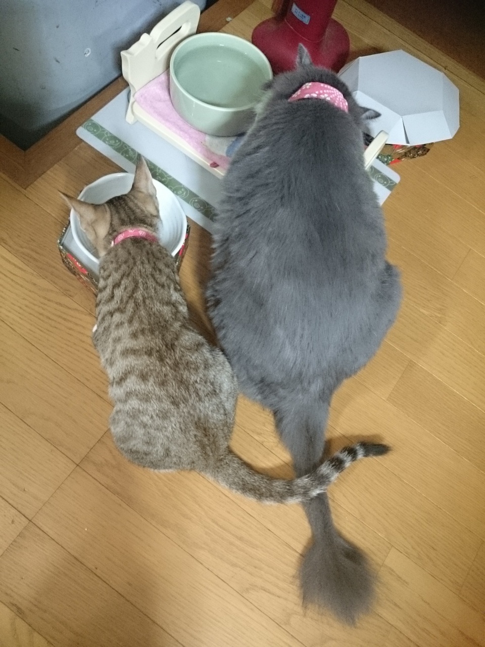 у^C