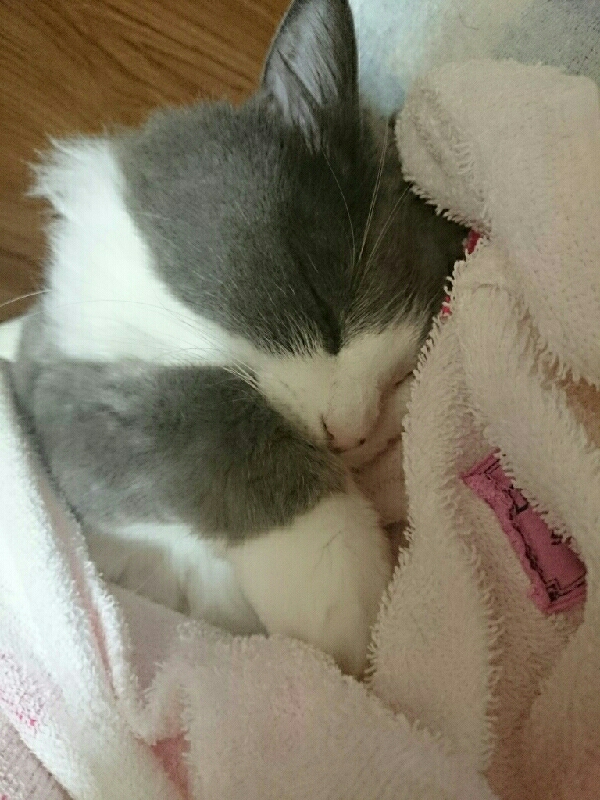 ˂(B--)zzz. . .