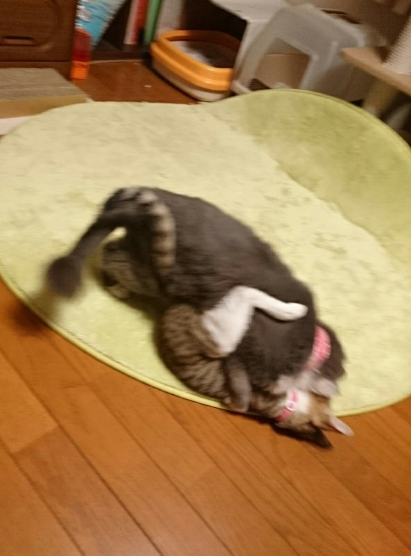 ͂[c