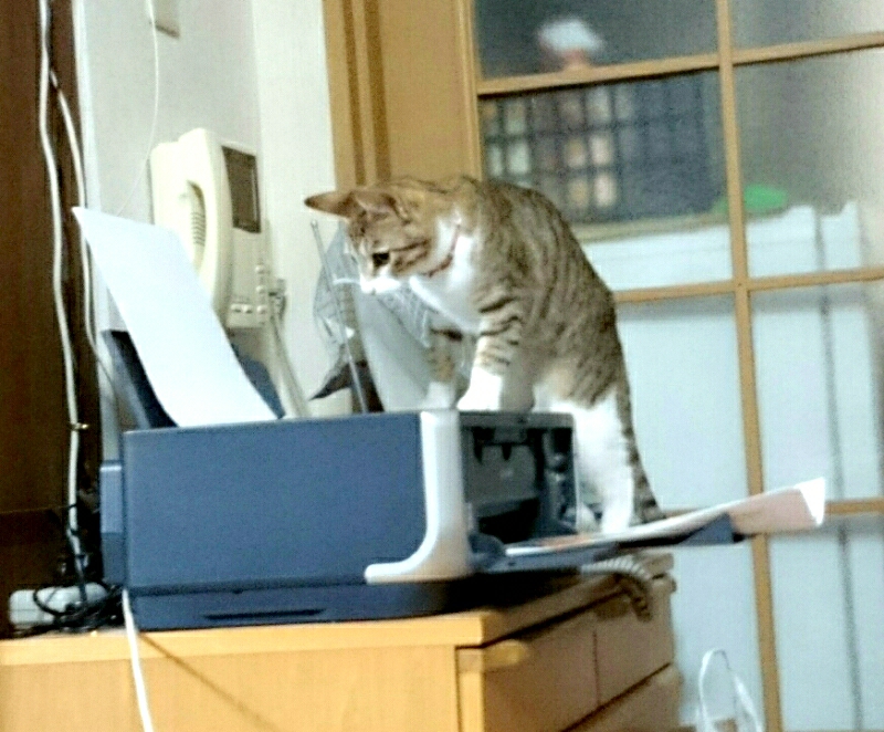 v^[
