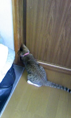 TȂ˂P