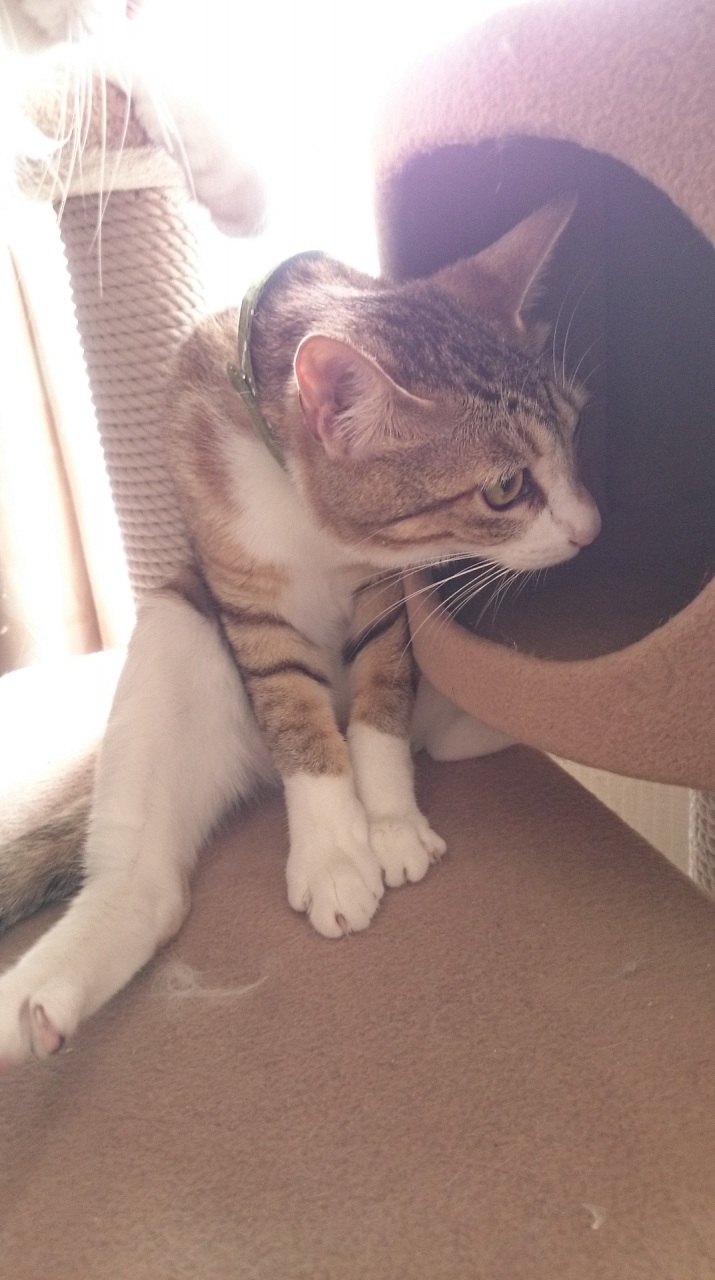 ˂̑A`O