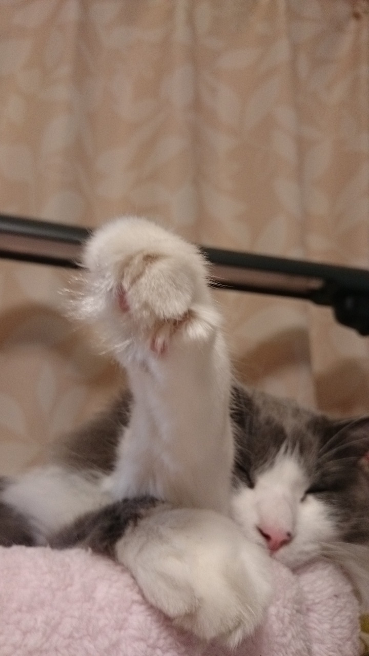 ̃X