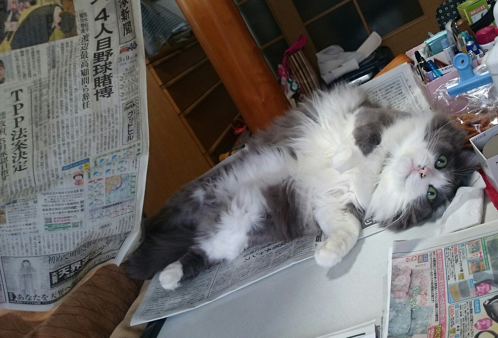 ˂邠